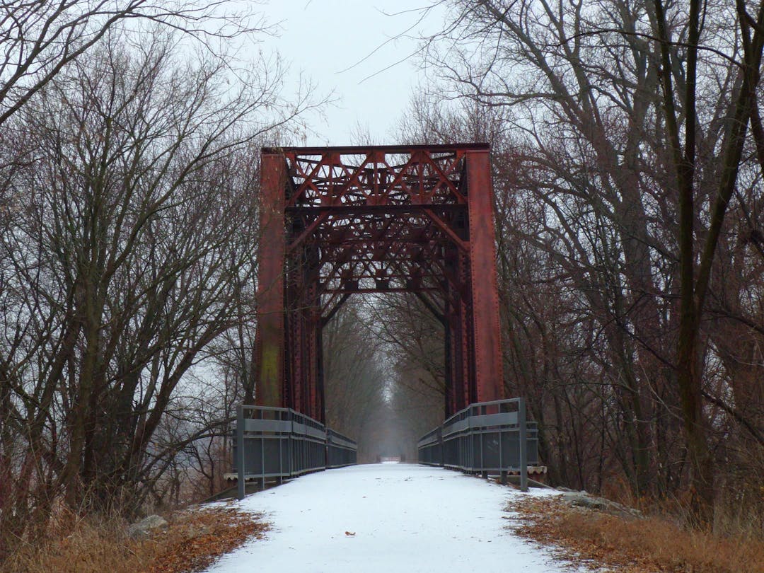 gray bridge between bare trees