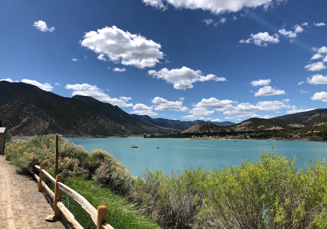 green grass near body of water under blue sky during daytime