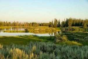 Mountains & Strings Chamber Music Retreat