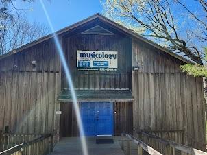 Musicology School of Music LLC